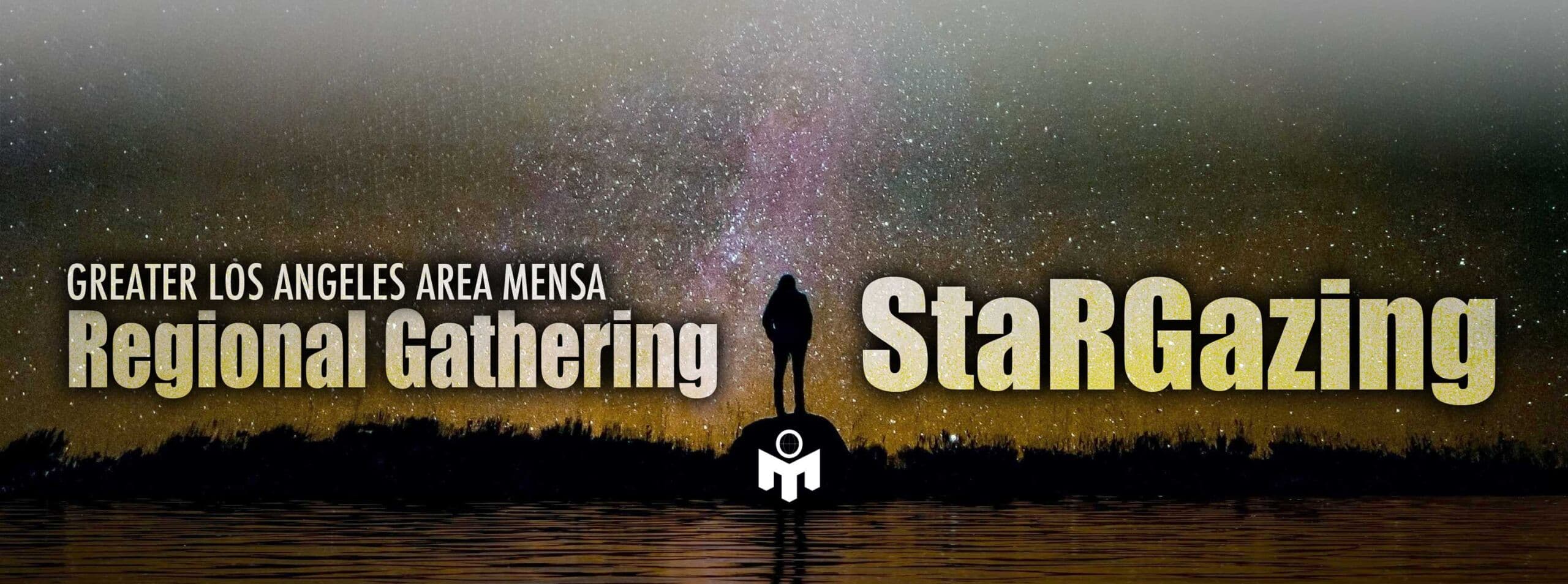 A person's silhouette against a star-filled night sky.